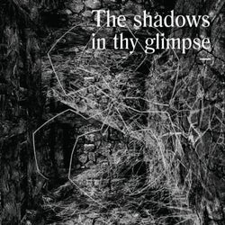 The Shadows In Thy Glimpse: Bedouin Records Selected Discography 2016-2018