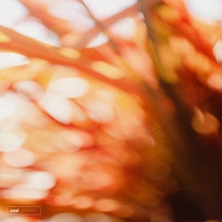 Glimmers