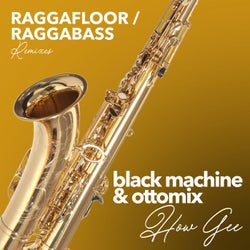 How Gee (Raggafloor / Raggabass Remixes)