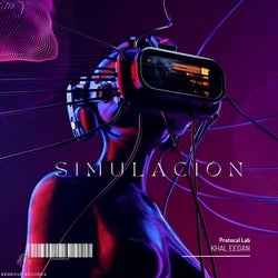 Simulation