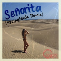 Senorita (Springfeldt Remix)