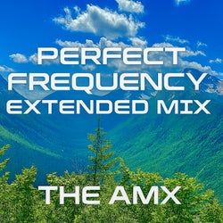 Perfect Frequency (Extended Mix)