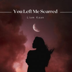 You Left Me Scarred