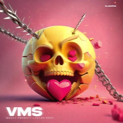 VMS