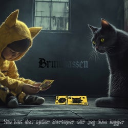 Min kat den spiller Sorteper når jeg ikke kigger