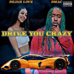 Drive You Crazy