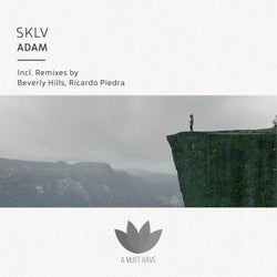 Adam Remixes