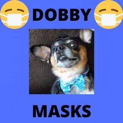 Dobby - Masks