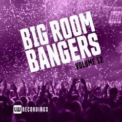 Big Room Bangers, Vol. 12