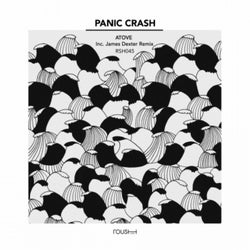 Panic Crash