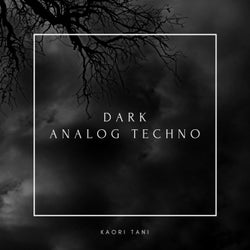 Dark Analog Techno