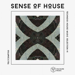 Sense Of House Vol. 41