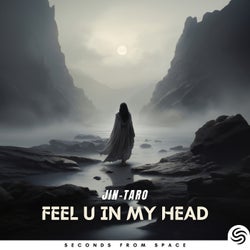 Feel U In My Head
