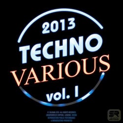 Techno Selection 2013