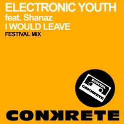I Would Leave (Festival Mix)