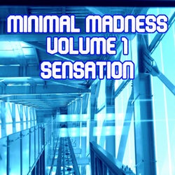 Minimal Madness Sensation, Vol.1 (BEST SELECTION OF MINIMAL CLUB TRACKS)