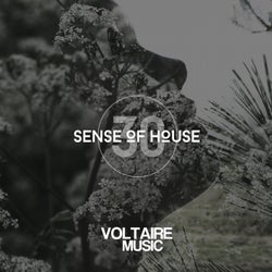Sense Of House Vol. 30