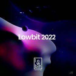 Lowbit 2022