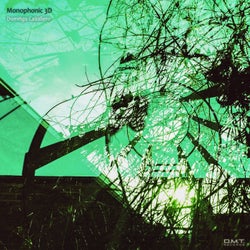 Monophonic 3D