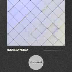 House Synergy