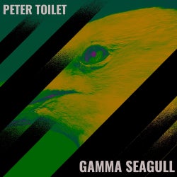 Gamma Seagull