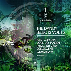 The Dandy Selects, Vol. 15