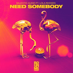 Need Somebody (Extended Mix)