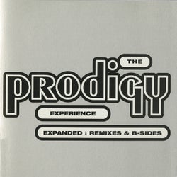 Experience: Expanded - Remixes & B-sides