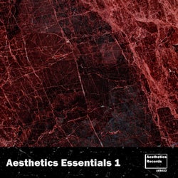 Aesthetics Essentials 1