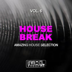 House Break, Vol. 6 (Amazing House Selection)