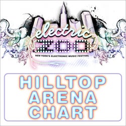 Hilltop Arena : Electric Zoo 2014