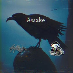 Awake (feat. Ketek)