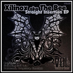 Straight Insertion EP