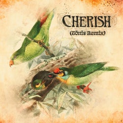 Cherish (Tōnis Remix)