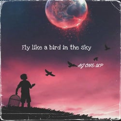 Fly Like a Bird in the Sky