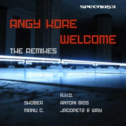 Welcome The Remixes