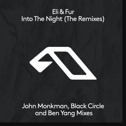 Into The Night (The Remixes)