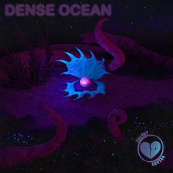 DENSE OCEAN