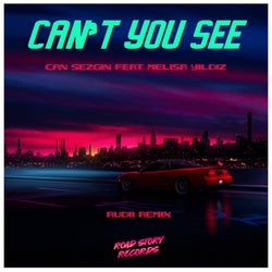 Can't You See (Rudii Remix)