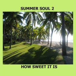 Summer Soul 2 - How Sweet It Is