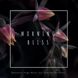 Morining Bliss (Peaceful Yoga Music For Eternal Stillness)