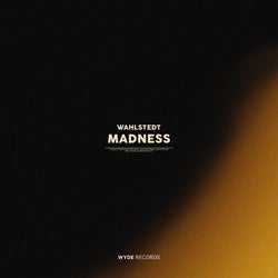 Madness (Extended Mix)