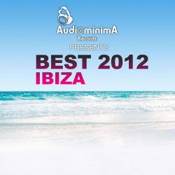BEST OF AUDIOMINIMA RECORDS 2012
