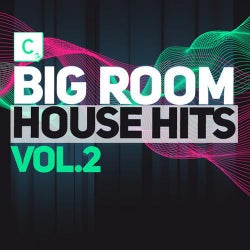 Big Room House - Vol. 2