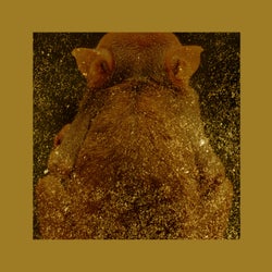 RTFCTS019