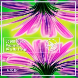 Ok Is Not Enough (Radio Edit)