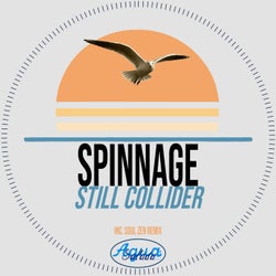 Still Collider