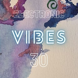 Electronic Vibes 030