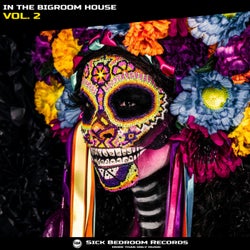 In The Bigroom House, Vol. 2 by Sick Bedroom Records