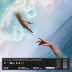 Missing You - Extended Mix